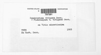 Image Associated With the Occurence